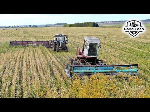 Видео: Самоходная косилка КПС-5 и тракторы МТЗ-80 с прицепными жатками ЖВЗ-7 скашивают пшеницу!