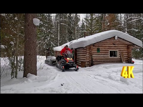 Видео: ЩУЧИЙ ЖОР: НАМ ПОВЕЗЛО, МЫ ПОПАЛИ НА НЕГО | 2 ЧАСТЬ