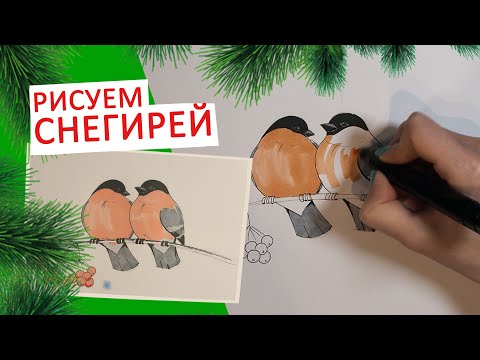 Видео: КАК НАРИСОВАТЬ НОВОГОДНЮЮ ОТКРЫТКУ СО СНЕГИРЯМИ (рисуем по схеме)