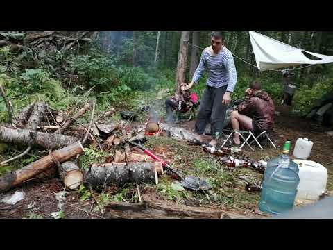 Видео: Тайга. Быт Сибиряка на промысле кедрового ореха!! Возвращение домой.