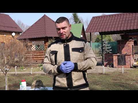 Видео: Опрыскивание плодовых весной 4 этапа