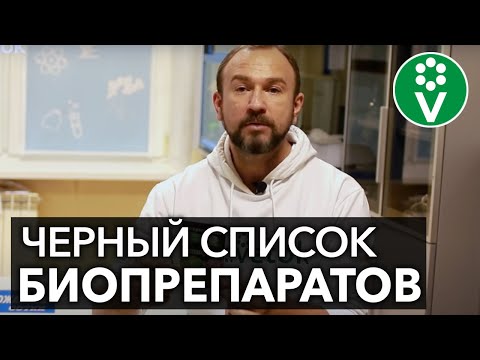 Видео: Эти популярные БИОПРЕПАРАТЫ оказались пустышкой! Не дайте себя обмануть