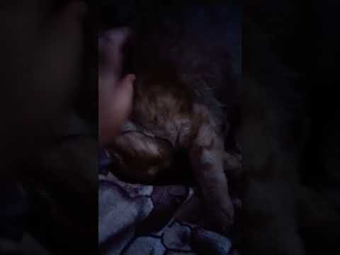 Видео: И так каждый день и вечер 🥹✨😋