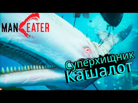 Видео: Кашалоты и ФИНАЛЬНЫЙ БОСС - MANEATER