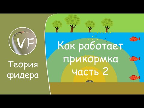 Видео: Особенности механики работы прикормки на стоячем водоеме
