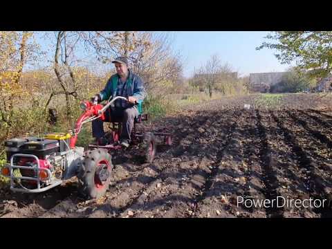 Видео: Посадка чеснока с моторсичем
