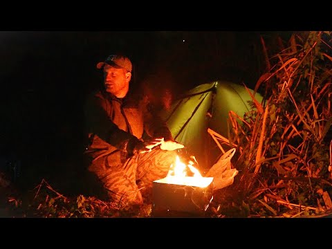 Видео: РЫБАЛКА С НОЧЁВКОЙ НА ЯМЕ. ЖЕНА ЛОВИТ СОМОВ, а я САЗАНОВ. Рыбалка на закидушки. Сом на саранчу
