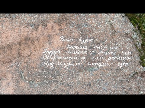 Видео: озеро Пионерское и озеро Александровское. Рыбалка 01.06.24.