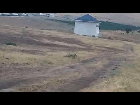 Видео: Мадыдан шашылыш түрдө жер участок сатылат:0779668466