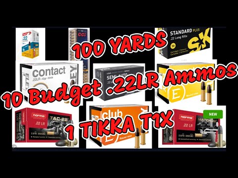 Видео: 100 ярдов, 10 патронов калибра .22LR и 1 винтовка TIKKA T1X. Группы стрельбы по дешёвке.