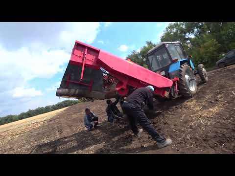 Видео: МТЗ-82,1 Копаем поздний лук ! ПОГОДА ТРЭШ!!!
