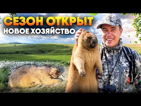 Видео: Охота на сурка с нарезным | Промахи и попадания по сурку