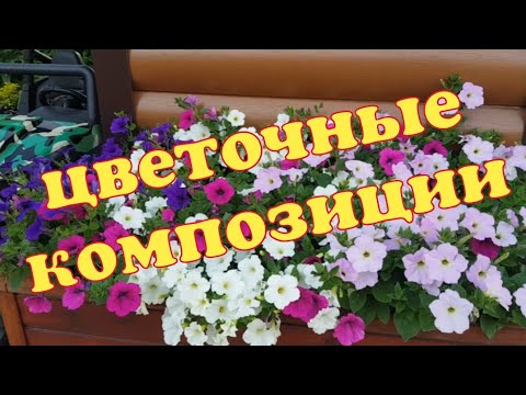 Видео: Мои цветочные композиции /Миксы с петунией/ Композиции из цветов и овощей🍅🌺/