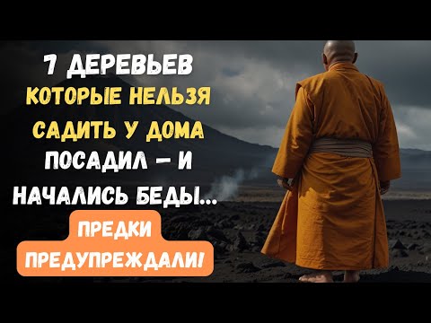 Видео: 7 Деревьев, Которые Нельзя Сажать у Дома по Народным Приметам