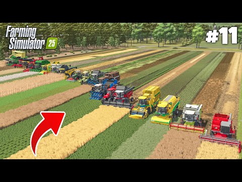 Видео: Все культуры, все комбайны – окончательный тест урожая | 500 миллионов долларов | Farming Simulat...