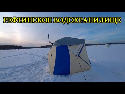 Видео: Зимняя рыбалка 2022. СУДАК и ОКУНЬ спасли рыбалку. Рефтинское водохранилище