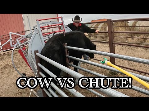 Видео: Осенняя работа | День работы на равнинах Колорадо