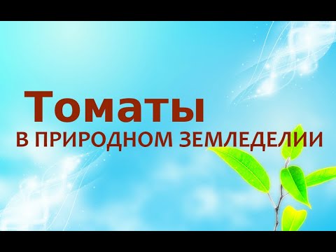 Видео: Природное земледелие - Томаты