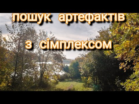Видео: Лісовий коп. Трохи є монет
