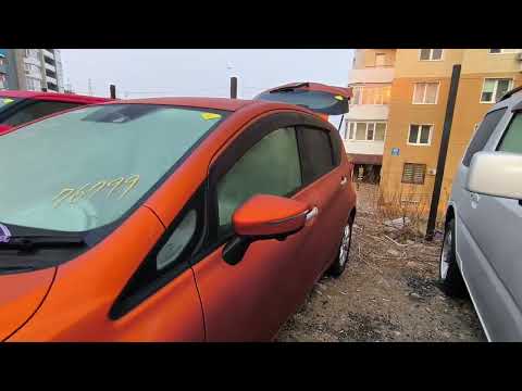 Видео: Забираю Народный гибрид! Крещенский перегон- начало...