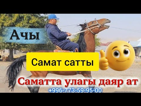 Видео: Сатылды