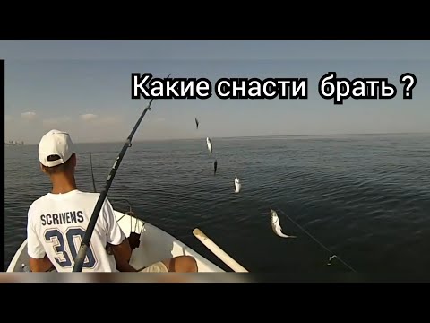 Видео: Ловля ставриды на Черном море.На что ловить и когда?