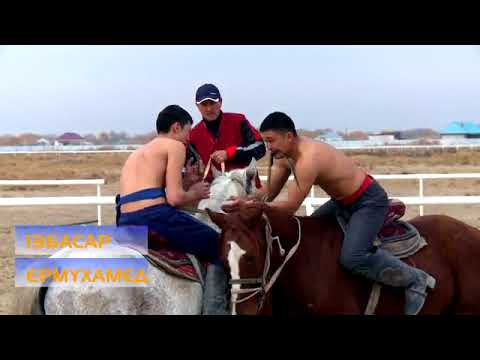 Видео: "Сыр серілері".  Аударыспақ