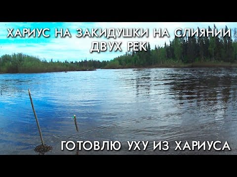 Видео: ХАРИУС НА ЗАКИДУШКИ НА СЛИЯНИИ ДВУХ РЕК / ГОТОВЛЮ УХУ ИЗ ХАРИУСА