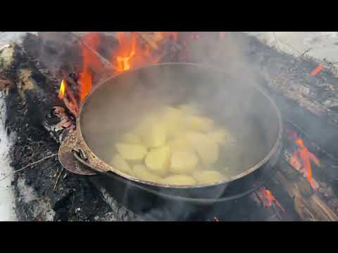 Видео: Уха на костре Царская уха #леснаякухня #костер #еданакостре #природа #осётр