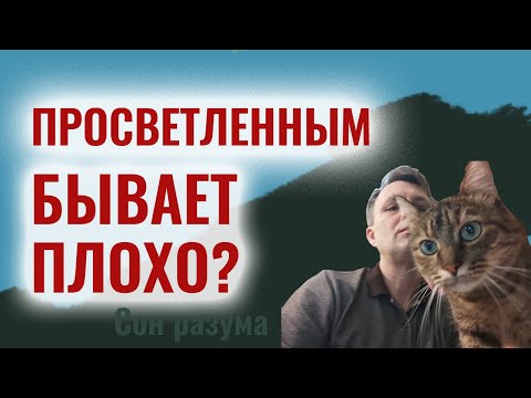 Видео: Как меняются чувства после просветления?
