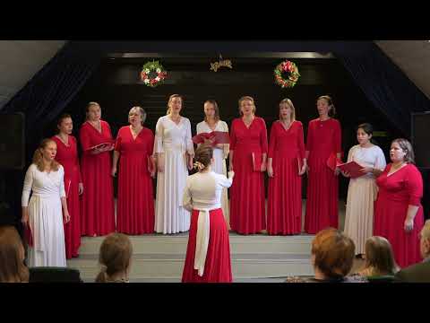 Видео: "Ты река ли моя реченька" - русская народная песня. Вокальный ансамбль "Ad libitum" МАУК Андреевка