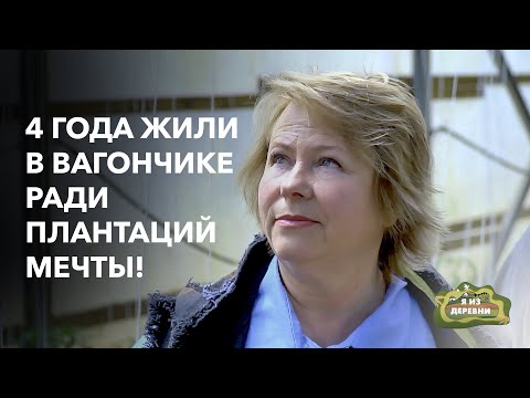 Видео: Как построить бизнес на грядках? «Я из деревни». д. Дашки