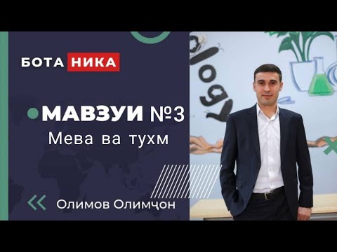 Видео: Мева ва тухм. fruits and seeds