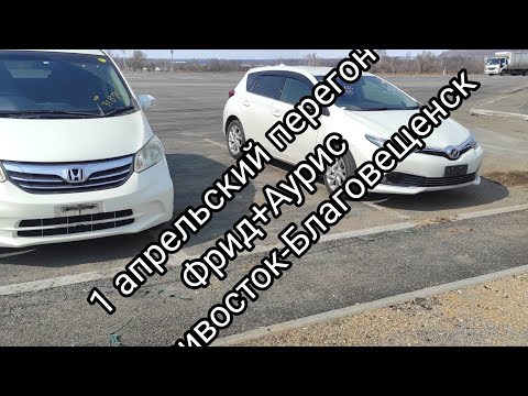 Видео: 3 апреля 2025 г.