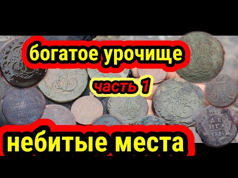 Видео: богатое урочище, небитые места , шикарный коп