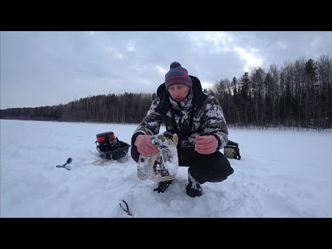 Видео: НЕ ЗРЯ СТОЛЬКО ШЁЛ! ЩУКА НА РАТТЛИН, ЖЕРЛИЦЫ НЕЛЬЗЯ ОСТАВИТЬ.