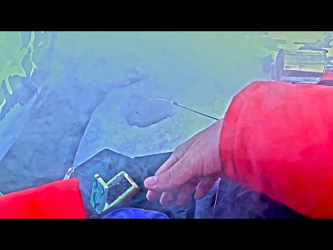 Видео: Чуть не ВЗОРВАЛСЯ на РЫБАЛКЕ!