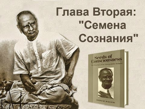 Видео: Нисаргадатта Махарадж - Ультиматум Нисаргадатты 2