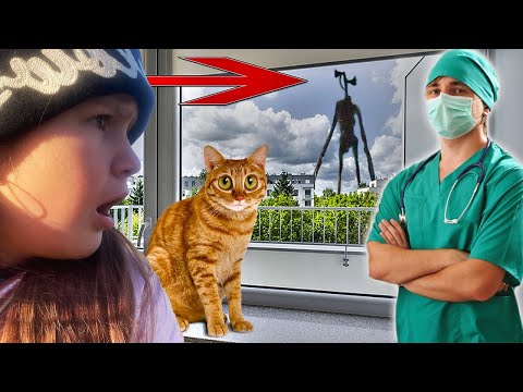 Видео: Симба и Яна Приключения СБОРНИК Все серии Simba