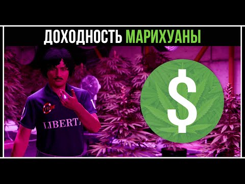 Видео: GTA 5 Online: Доходность Гидропонного Цеха