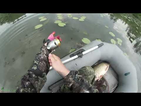 Видео: РЫБАЛКА С РОГАТКОЙ C ЛОДКИ В МАЕ #80
