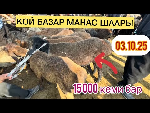 Видео: Бүгүнкү баалар 03.09.2025