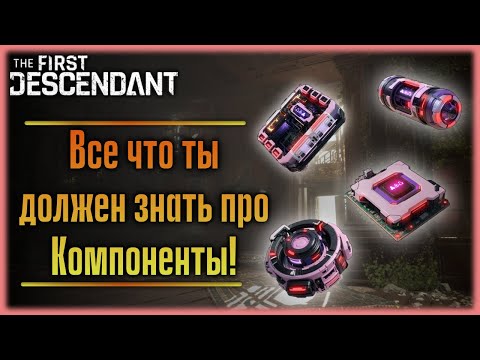 Видео: Компоненты. Какие бывают и какие искать для себя. The First Descendant.