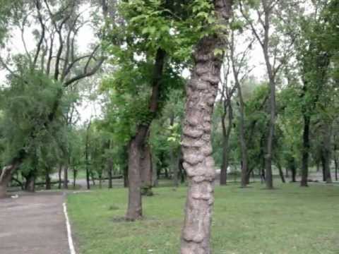 Видео: БЕЛЬЦЫ ВОСПОМИНАНИЯ.