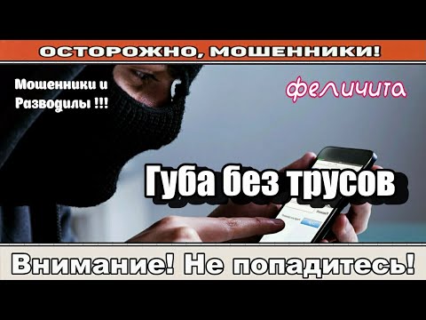 Видео: Мошенники звонят по телефону / Заряженный лист здоровья ( сборник ).