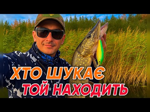 Видео: ОСІННЯ ЩУКА на ВОБЛЕРИ ✅ рибалка на нових озерах 