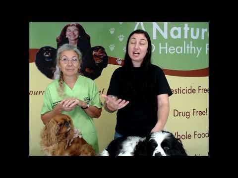 Видео: Неправильно диагностированная аллергия: расшифровка зуда