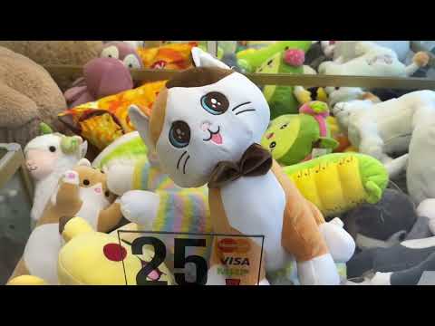 Видео: МЕГА ХВАТАЙКА🎰🎰ЛОВЛЮ КРАСИВУЮ КОШЕЧКУ😻ВСЕ,КТО ЖДАЛ ЭТО ВИДЕО, ОТМЕЧАЙТЕСЬ В КОММЕНТАРИЯХ👍
