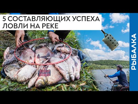 Видео: Как НАЛОВИТЬ ЛЕЩА на реке: 5 составляющих успеха! Рыбалка на Оке 2020 на фидер