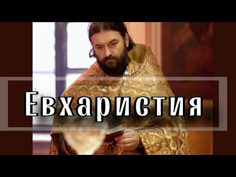 Видео: О Литургии. Отец Андрей Ткачёв